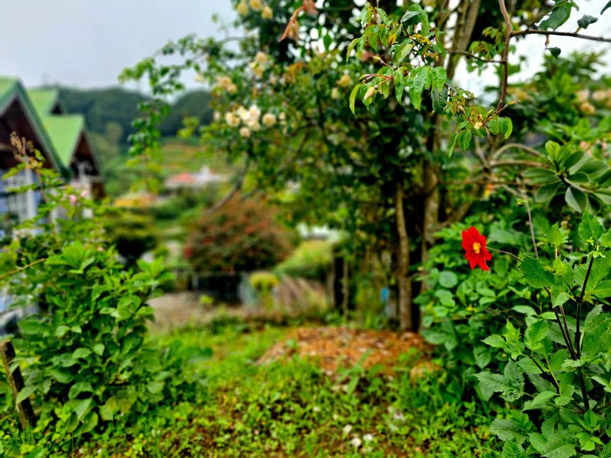 Haven Chalet Nuwara Eliya Exterior photo